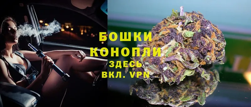 Конопля White Widow  гидра вход  Апатиты  продажа наркотиков 